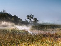 Dousman River Fog