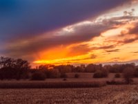 10-19-2016 (140 of 158)-HDR